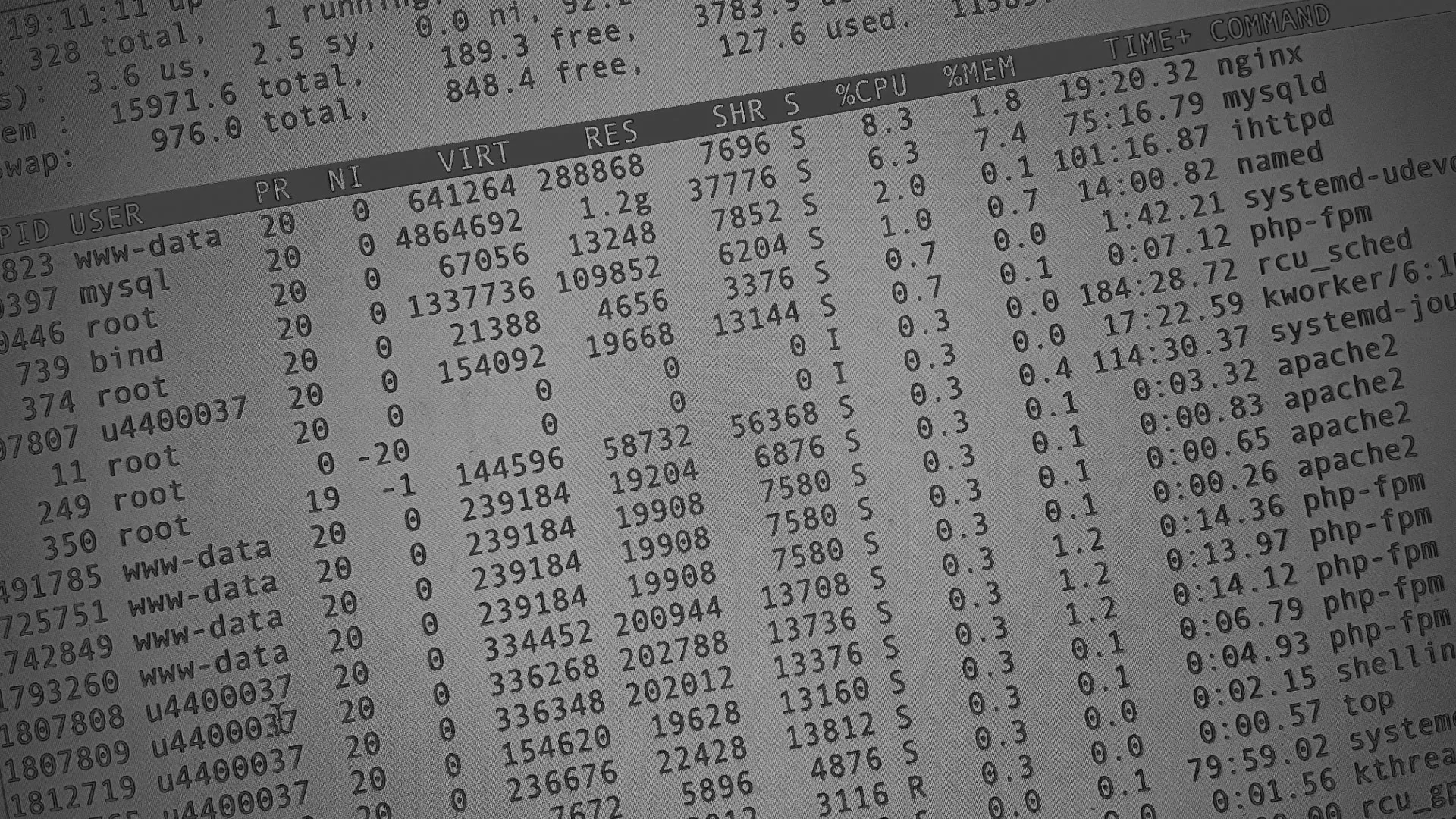 Настройка сервера в Армавире